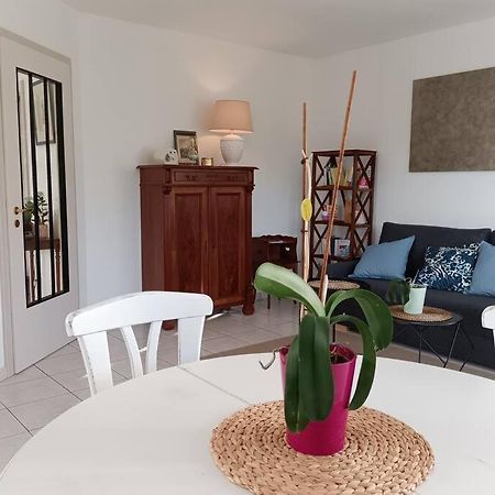 Strasbourg 3 Pieces Avec Jardin Apartman Brumath Kültér fotó