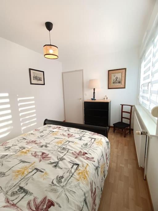 Strasbourg 3 Pieces Avec Jardin Apartman Brumath Kültér fotó