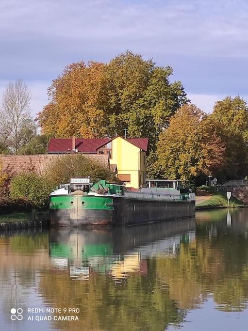 Strasbourg 3 Pieces Avec Jardin Apartman Brumath Kültér fotó