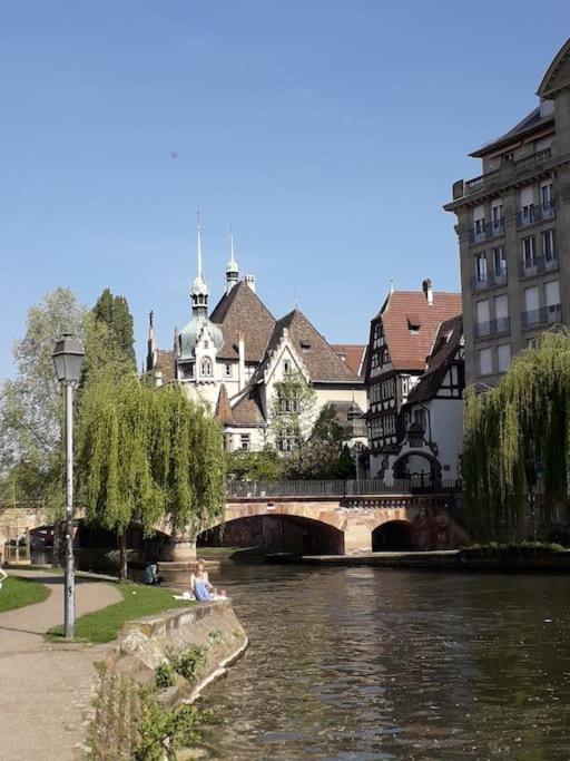 Strasbourg 3 Pieces Avec Jardin Apartman Brumath Kültér fotó