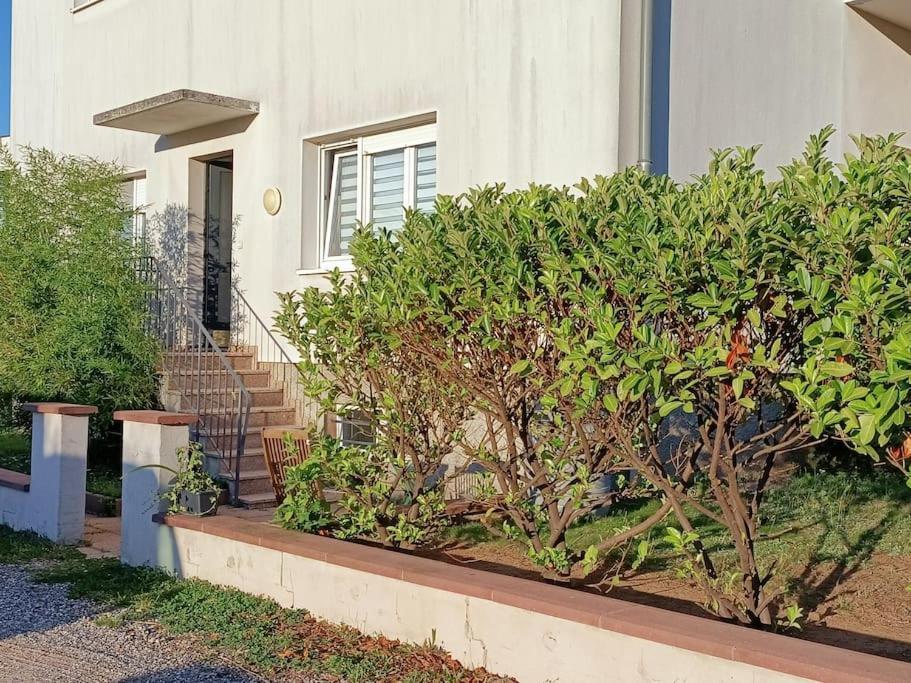 Strasbourg 3 Pieces Avec Jardin Apartman Brumath Kültér fotó